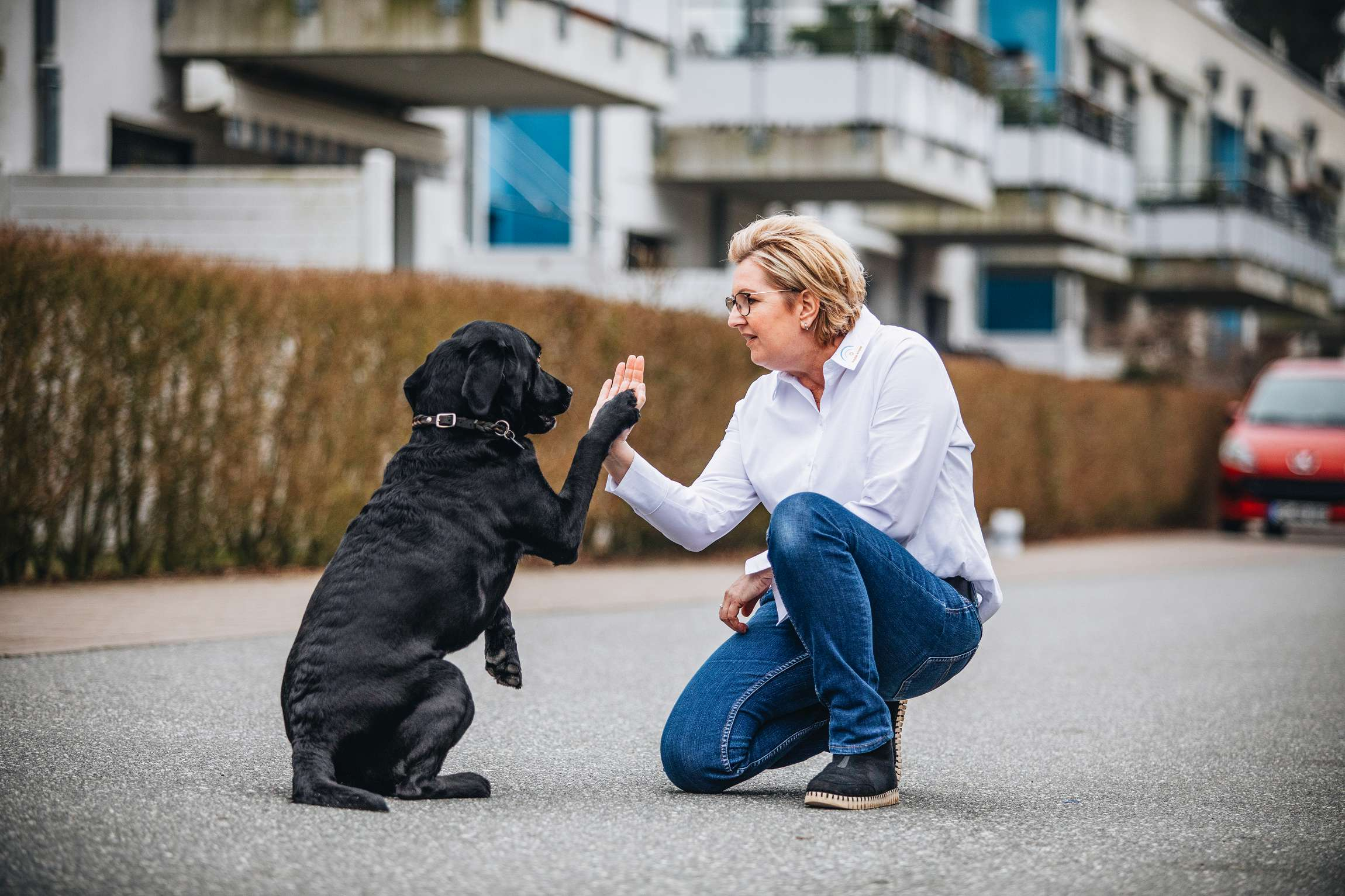 Frau mit Hund high five